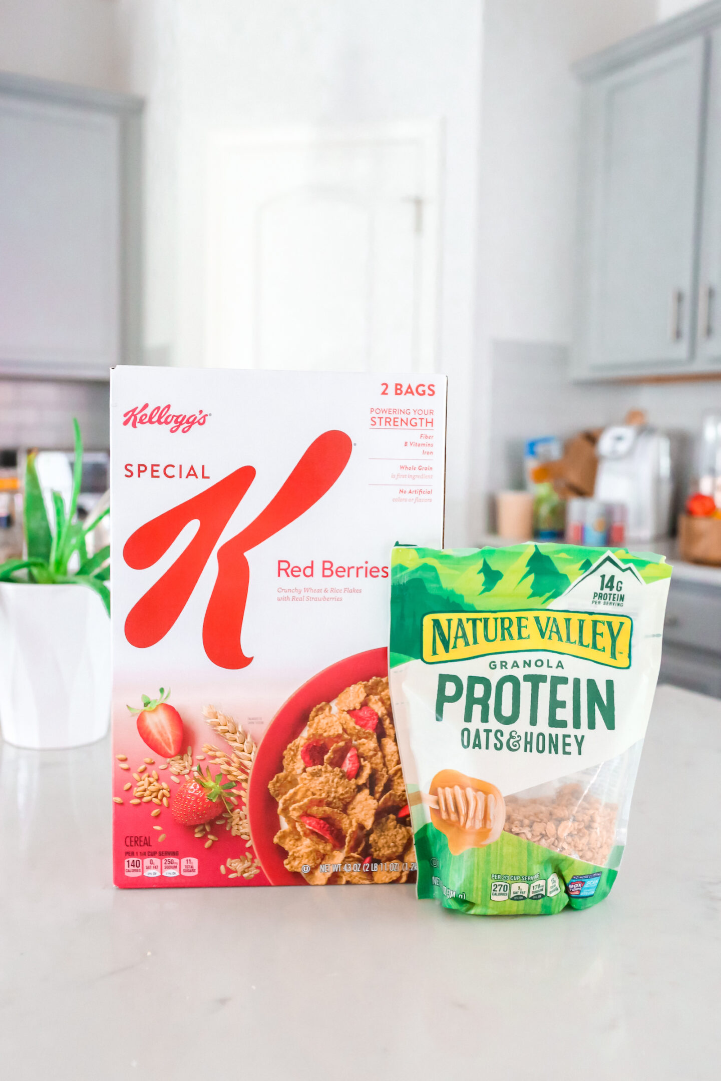 Special K Protein Cereal